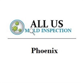 Mold Testing and Inspection Phoenix