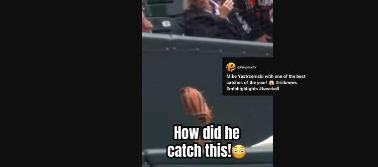 Mike Yastrzemski’s Jaw-Dropping Netting Catch: A Play for the Ages